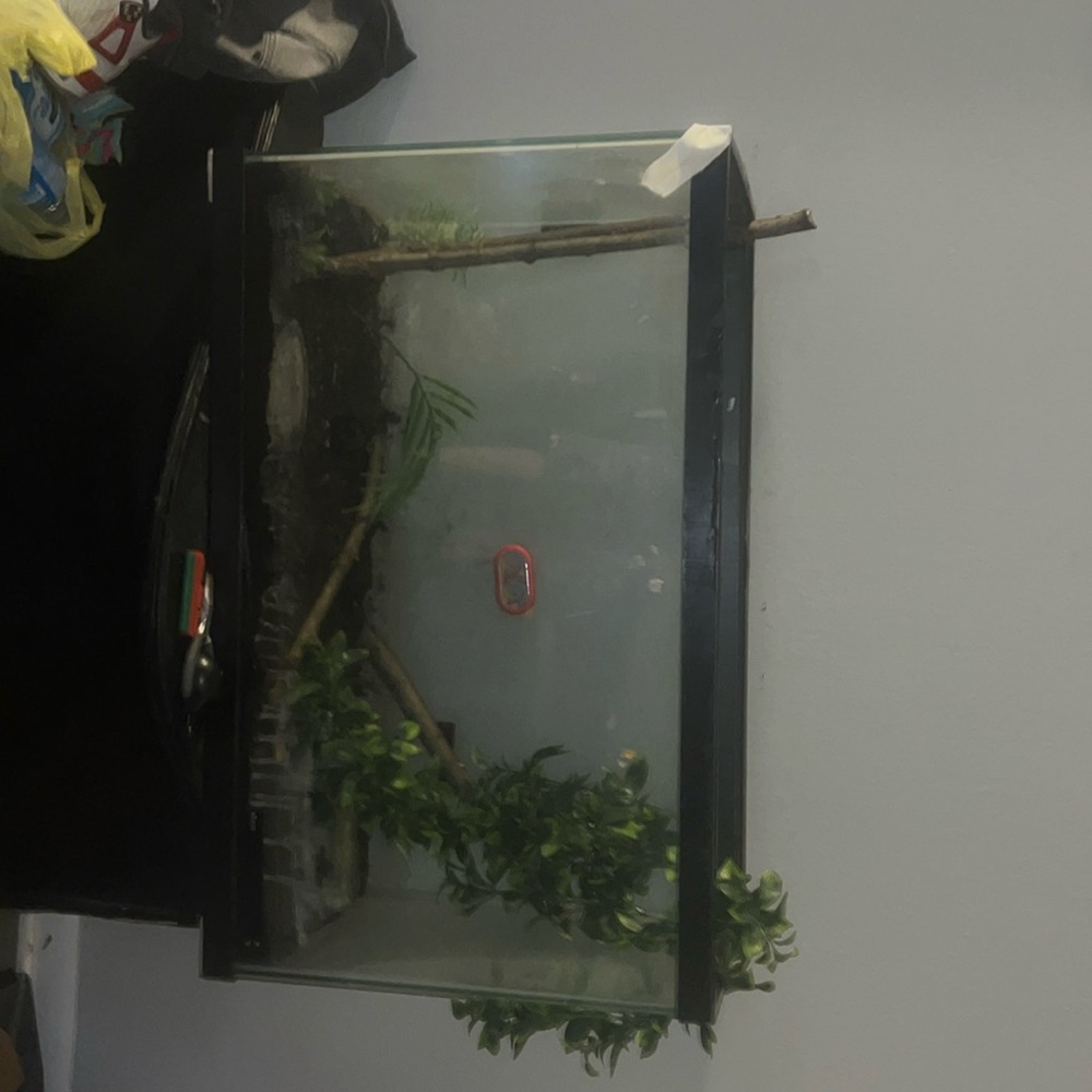 30 gal glass tank